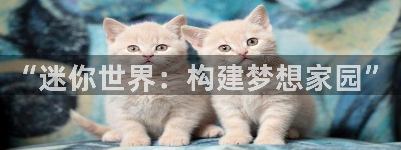 杏鑫平台总代理是谁