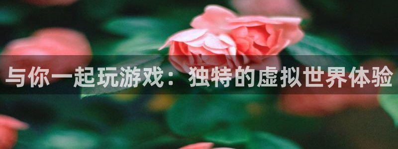 杏鑫平台开户