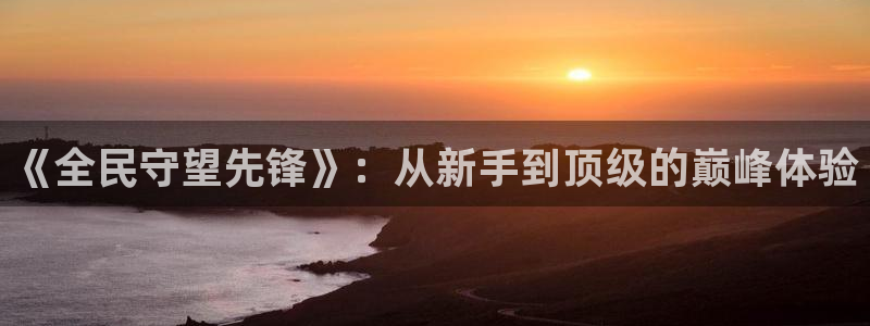 杏鑫注册登录平台：《全民守望先锋》：从新手到顶级的巅峰体验