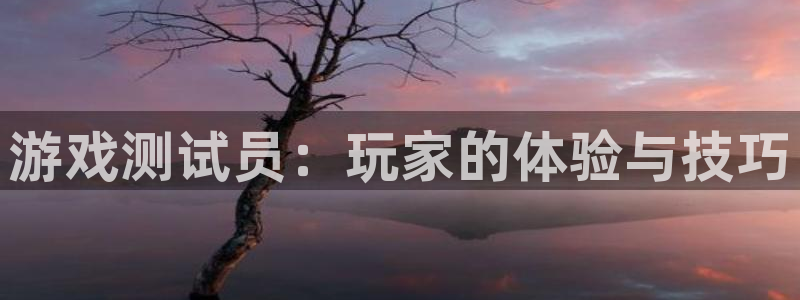 杏鑫平台注册登录入口官网：游戏测试员：玩家的体验与技巧