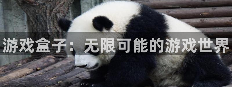 杏鑫平台注册登录入口官网：游戏盒子：无限可能的游戏世界