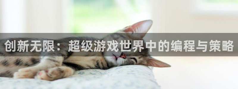 杏鑫平台直属：创新无限：超级游戏世界中的编程与策略