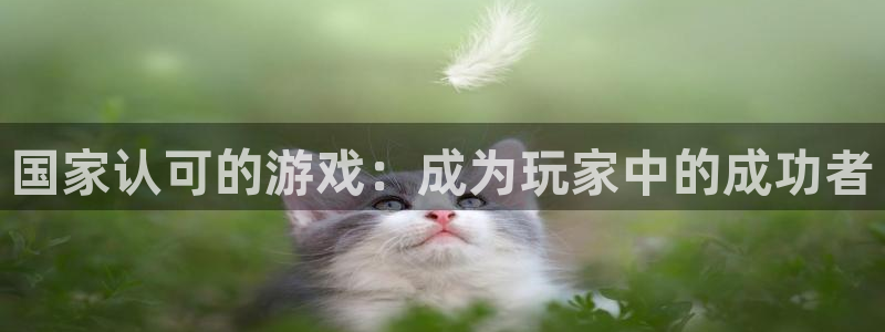 杏鑫代理登录中心在哪：国家认可的游戏：成为玩家中的成功者