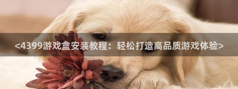 杏鑫注册登录平台是什么：<4399游戏盒安装教程：轻松打造高