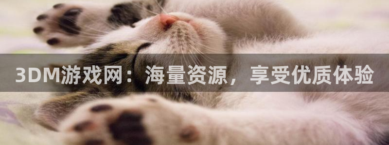 杏鑫平台怎么样：3DM游戏网：海量资源，享受优质体验
