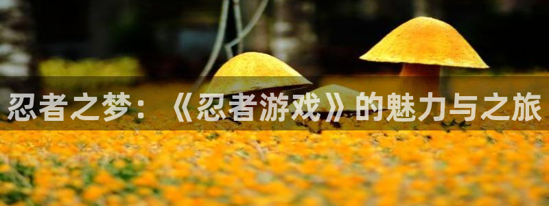 杏鑫官方app代理