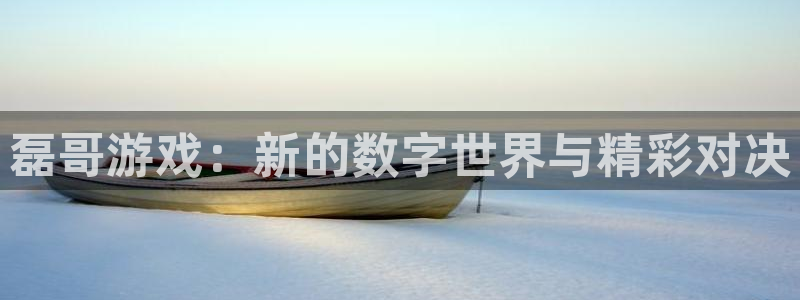 杏鑫平台怎么样知乎：磊哥游戏：新的数字世界与精彩对决