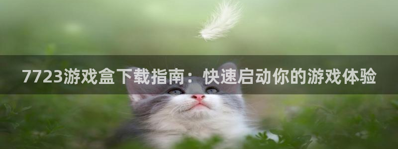杏鑫注册登录平台：7723游戏盒下载指南：快速启动你的游戏体
