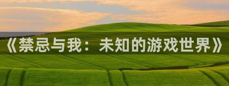 杏鑫注册登录代理公司